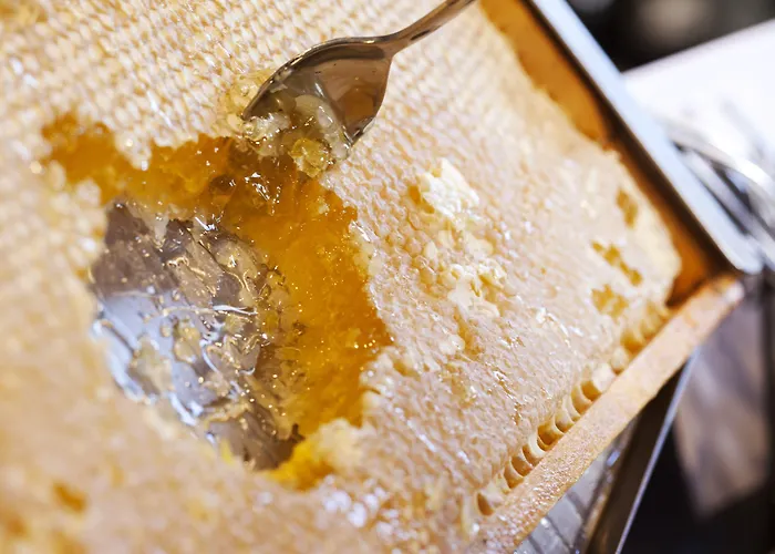 酒店 Boutique Im Auracher Loechl