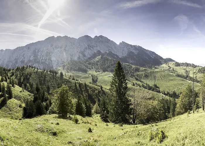 酒店 Boutique Im Auracher Loechl 库夫施泰因